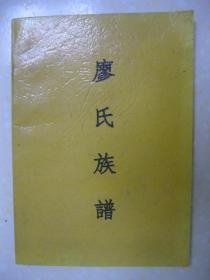 廖氏族谱（先祖从福建省闽侯县葛藤坳迁广西朔邑崇富里盖村头，后裔再迁杨梅庄，后迁长充坊（即大冲嵅）。族祖广瑛之父约在明代成化二年再迁大衡村。辈字：忠福俊（选）有（明）凤（鸿）志（仕）苏（启）绍祖先敦本克承兆定嘉）