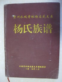 杨氏族谱（贵州水城青林杨启盛支系，贵州省水城县青林乡一带。本次续谱是继入黔先祖杨智、杨秀二十字派的支系，即杨仲乾（第二世）后续谱。字派：齐仲如文应启发在朝刚忠政红定国维运天星观）