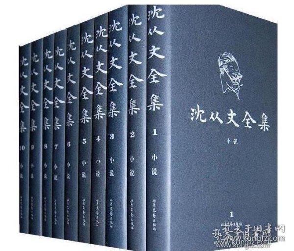 正版包邮  沈从文全集(修订本)精装1-32卷+附卷 全 33册 c