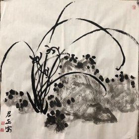 国画家杨君正:梅兰竹菊斗方