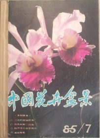 中国花卉盆景1985年7-11月共5期
