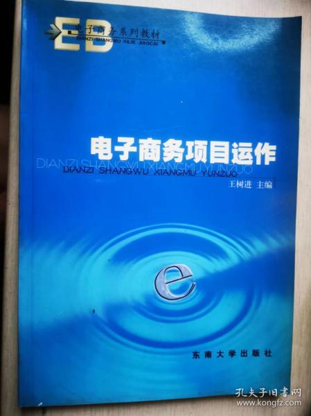 电子商务系列教材·普通高等教育十一五国家级规划教材：电子商务项目运作