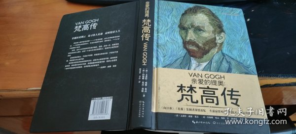 亲爱的提奥：梵高传（一世珍藏名人名传精品典藏）