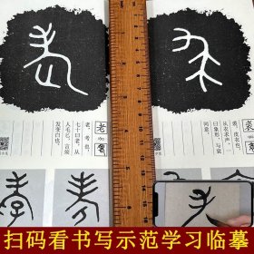 金文篆法入门 王福庵说文部首540字 大篆结合篆书篆刻学生成人初学者篆书入门毛笔书法字帖碑帖临摹教程工具书字典 福建美术