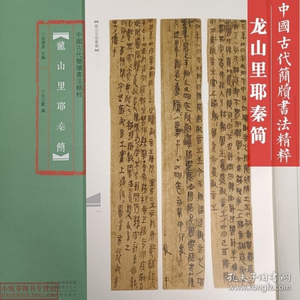 中国古代简牍书法精粹龙山里耶秦简