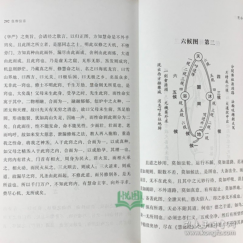 伍柳仙宗 明/伍冲虚 清/柳华阳/著 九州9787510823060