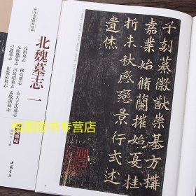 北魏墓志一元桢墓志 穆亮墓志 刁遵墓志 崔敬邕墓志 孟敬训 元显俊 司马绍 夫人王氏墓志 历代名家碑帖经典超清原帖放大本楷书碑帖