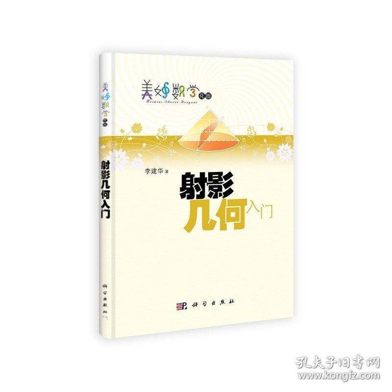 射影几何入门 美妙数学花园丛书 李建华编 射影仿射专业基础知识 代数运算 射影几何应用与理论指南 射影几何入门书 正版书籍