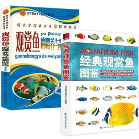 2册 经典观赏鱼图鉴+观赏鱼的喂养与疾病防治 养鱼大全技术知识手册选鱼饲养与鉴赏图典养殖入门淡水鱼类水产世界热带鱼正版书籍