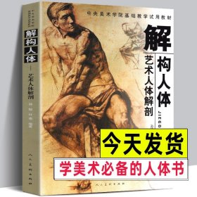 【2册548页】解构人体+伯里曼人体结构绘画教学 中央美术学院入门基础教材教程骨骼肌肉全身艺术人体解剖造型雕塑素描速写临摹书籍