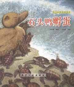 石头鸭孵蛋张晋霖 图画故事中国当代儿童读物书籍
