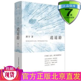 现货 逍遥游 班宇 著理想国/冬泳之后班宇作品 为弱小者给予支持 为卑微者延续幻梦故事横跨三十年收录七篇短篇中短篇小说