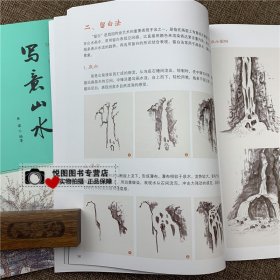 写意山水 妙笔丹青系列中国写意画规范教程徐璨编著 山石水云树点景的画法 设色构图步骤解析 国画入门技法书籍墨点美术