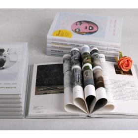 【精装8册】费顿焦点艺术家系列丛书 美育的丛书 世界上艺术精致丛书 艺术读物 当代艺术故事的全景式丛书 设计文学 广西美术出版