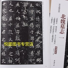 北魏墓志一元桢墓志 穆亮墓志 刁遵墓志 崔敬邕墓志 孟敬训 元显俊 司马绍 夫人王氏墓志 历代名家碑帖经典超清原帖放大本楷书碑帖