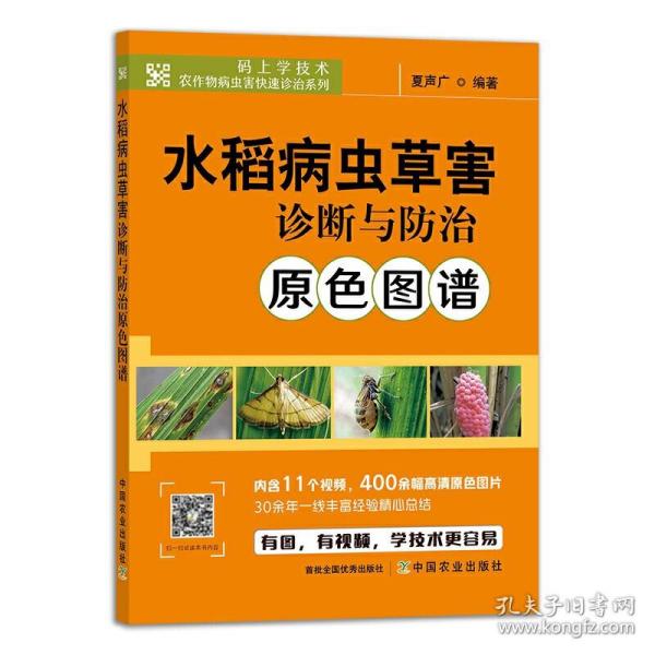 水稻病虫草害诊断与防治原色图谱 水稻栽培种植技术书籍水稻病虫害防控稻麦病虫草害飞防技术稻田农药科学使用技术指南