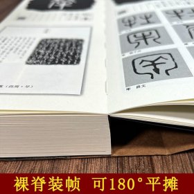 金文篆法入门 王福庵说文部首540字 大篆结合篆书篆刻学生成人初学者篆书入门毛笔书法字帖碑帖临摹教程工具书字典 福建美术