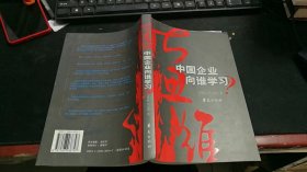 大思维：中国企业向谁学习 M924