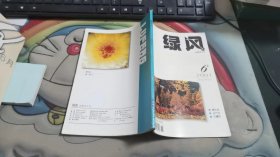 绿风诗刊 2001年第6期 V1017