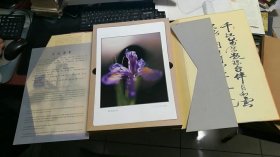 百花颂：百花送馨·高占祥百花摄影集，8-3