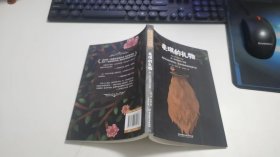 麦琪的礼物 J2746