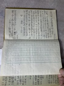 新华社资深记者、摄影家1980年起日记-内容：因为编写新华社史故涉及陈#伯达及陈克寒等社长级等高级#领#导，有多处有相当史料价值的记载，如陈克寒印象、王唯真讲与陈伯达的事，写了4页；还有仓夷弟妹来访，写仓夷的事迹等，另有近半册篇幅记1999年赴日探亲近3个月的记录-满写在《封面带美女照片的体育日记，1959年第一届全运会纪念册》上。字迹清秀。