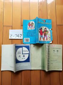 中小学数学三种：初中三年级代数1本+初中代数检测丛书第二册+新编小学数学应用题大全