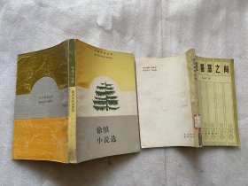 美丑善恶之间+徐慎小说选 -自选购书 二册，任选一本2元，二本3元