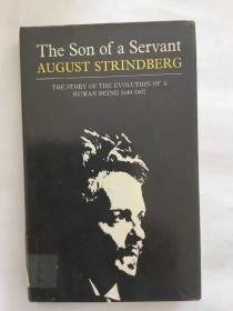 《女仆的儿子》The Son of a Servant : The Story of the Evolution of a Human Being, 1849-67