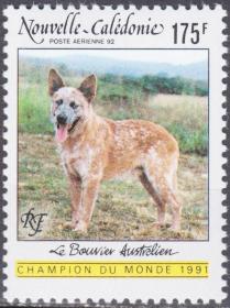 新喀里多尼亚1992年航空邮票 动物狗 澳大利亚牧羊犬1全