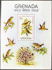 格林纳达1980年小型张 野生鸟类 草原林莺1全
