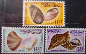 摩洛哥 1965年邮票 贝壳 西非瘤火焰法螺、海王星螺等3枚