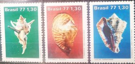 巴西1977年邮票   贝壳3全