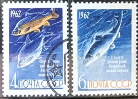 苏联1962年邮票 鱼类 鲤鱼和欧洲鳊鱼及鲑鱼2全