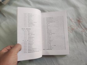 皮革化学品（精细化工原材料及中间体手册）：平装32开2004年一版一印（李刚辉 主编；李小瑞 化学工业出版社）