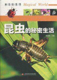 正版书002库 神奇的世界—昆虫的秘密生活 9787543978928 上海科