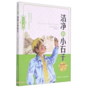 正版书002库 洁净的小石子 利哈诺夫作品集 9787531944355 黑龙江