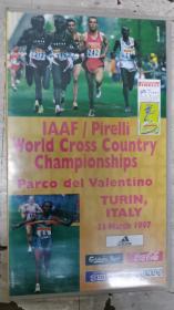 录像带：IAAF/ PirIIi WorId Cross Country Championships TURIN,ITALY-23（体育类）