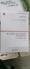 稀土企业核心竞争力动态评价及培育路径研究：以内蒙古为例