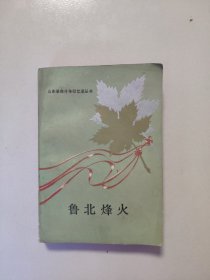 鲁北烽火（山东革命斗争回忆录丛书）