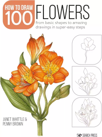 Draw 100: Flowers:画100:花:从基本形状到超简单步骤的惊人图画