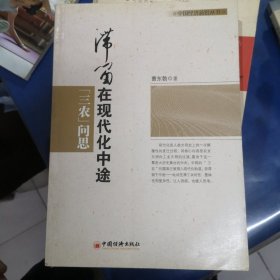 滞留在现代化中途：“三农”问思