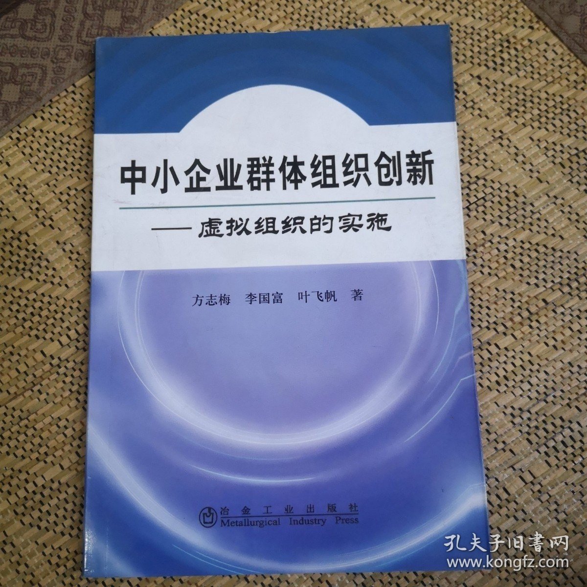 中小企业群体组织创新：虚拟组织的实施