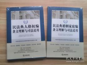 2020  民法典条文理解与司法适用丛书 7册   总则编、物权编、合同编、人格权编、婚姻家庭编、继承编、侵权责任编 司法