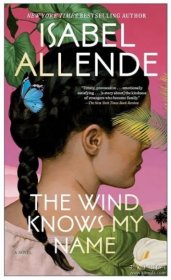 风知道我的名字 The Wind Knows My Name A Novel 英文原版 国际流行小说