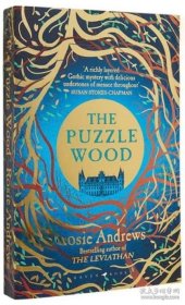 Puzzle Wood 拼图木 英文原版 现代小说 国际流行小说 推理与惊悚小说