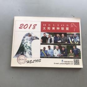 赛鸽  太阳育种联盟 2018