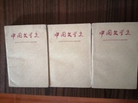 中国文学史(二、三、四册)