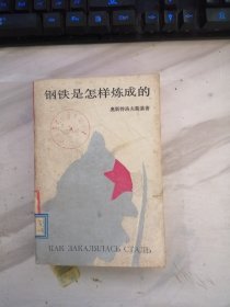 钢铁是怎样炼成的