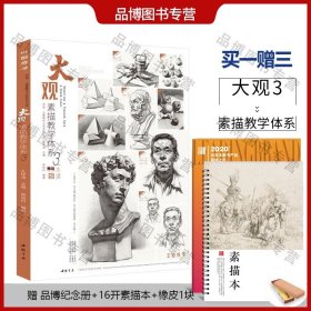 大观（素描教学体系）/师语主题教学大观系列丛书